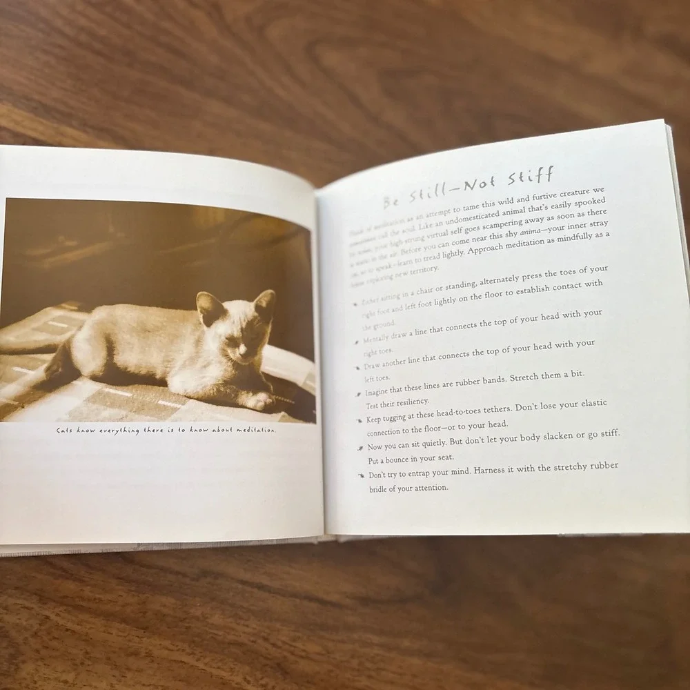 The Art of Doing Nothing Veronique Vienne Hardcover 1st Ed 1998 Meditation